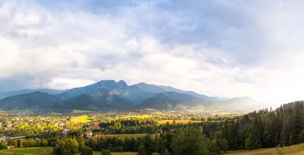 A green meadow with scattered trees set against the majestic peaks of the Tatra Mountains.