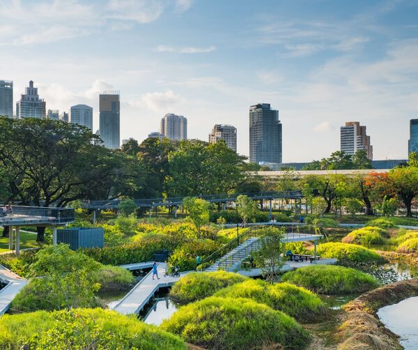 Elevated boardwalks and winding paths through lush urban gardens and ponds with panoramic views of modern high-rise skyline.