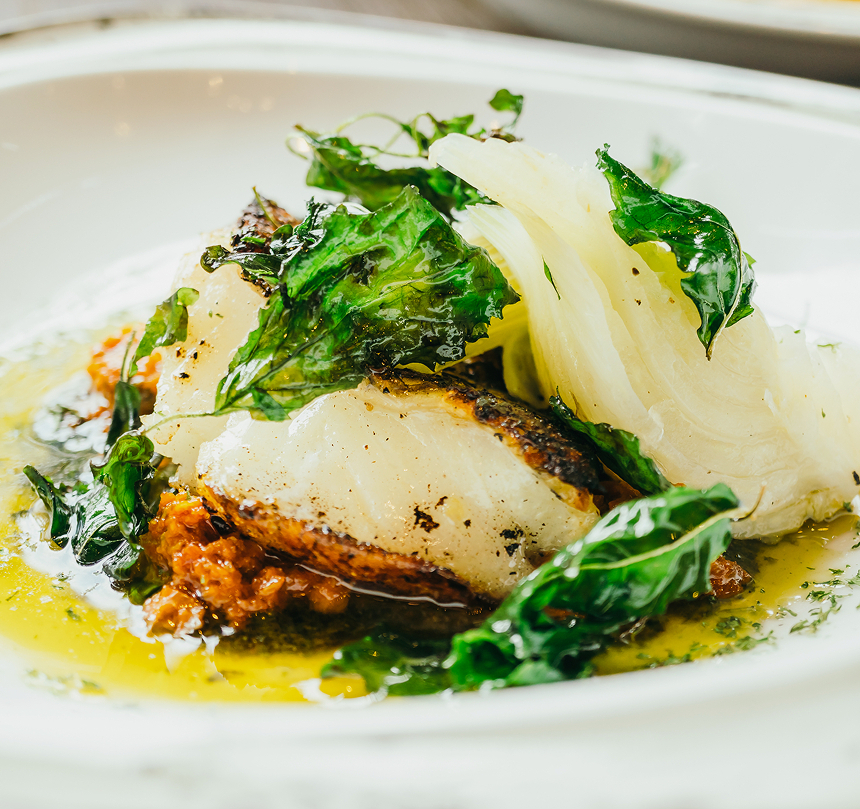 Smażona biała ryba na pomidorowym sosie z duszoną fenkułą i chrupiącymi liśćmi w ziołowym oleju