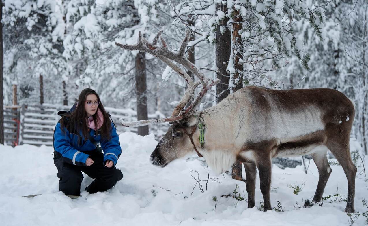 Vieras talvivaatteissa polvillaan lumessa, tapaamassa poroa opastetulla arktisella pororetkellä