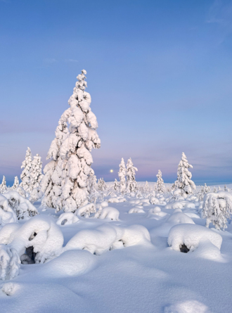 Follow us on Instagram