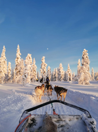 Follow us on Instagram