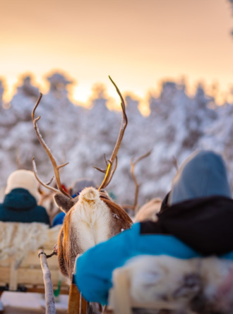 Follow us on Instagram