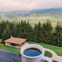 Widok wiatę grillową, otoczoną świerkami i zielonymi polami w górskim krajobrazie, z kubkiem kawy na pierwszym planie.