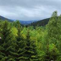 Drewniany balkon hotelu z widokiem na gęsty, zielony las i zalesione góry pod pochmurnym niebem.