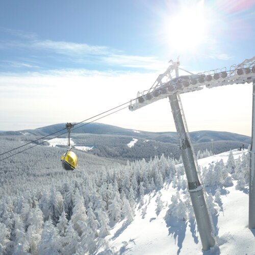 Wyciąg gondolowy na górskim stoku otoczony śnieżnymi drzewami pod jasnym, słonecznym niebem