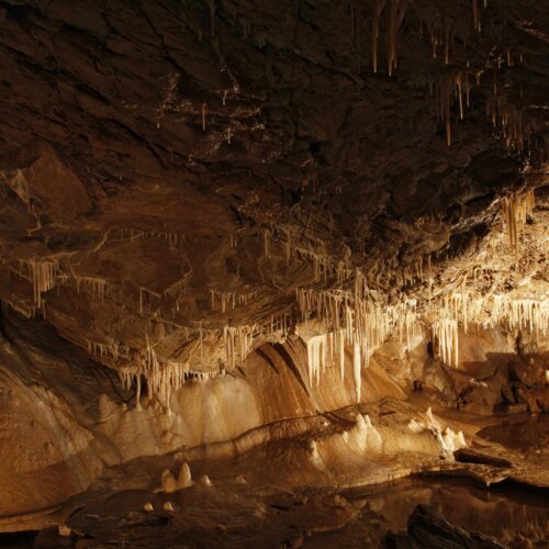 Skalne wnętrze jaskini z licznymi cienkimi stalaktytami zwisającymi z sufitu i naturalnym oświetleniem podkreślającym tekstury