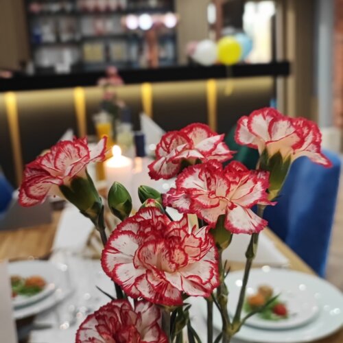 Bukiet różowych goździków na stole w eleganckiej restauracji z nowoczesnym wystrojem i przytulną atmosferą.