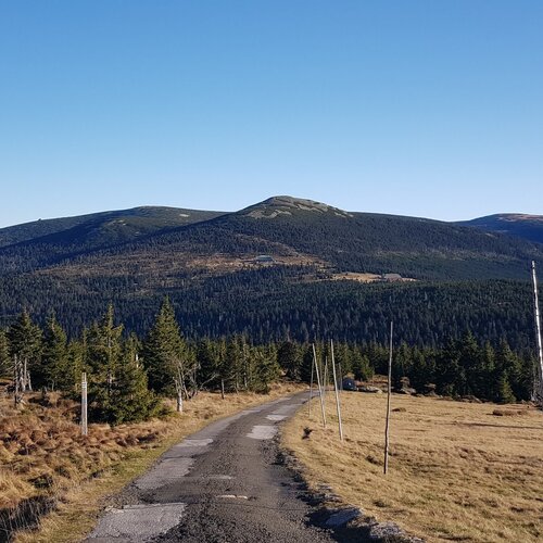 Asfaltowa droga prowadząca przez górskie łąki z drzewami i błękitnym niebem.