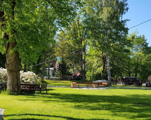 Summer in the garden