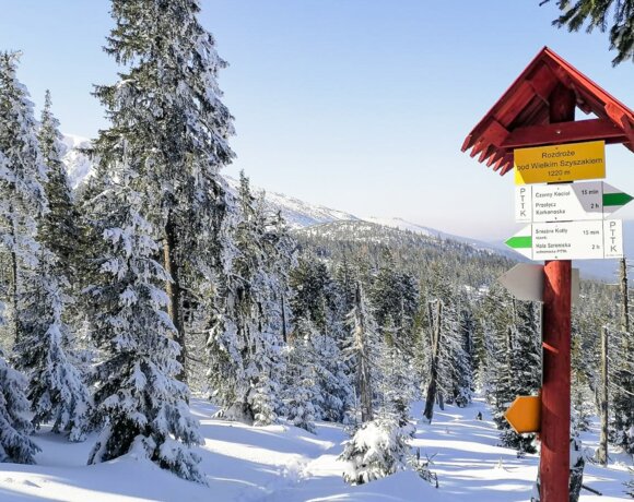 Paysage hivernal avec un panneau de direction sur le sentier des monts des Géants, arbres ensevelis
