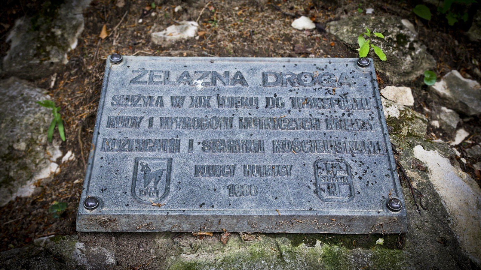 Description of the photo
