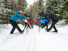 Group doing Nordic walking stretches with poles on a snowy forest trail with snow-covered pines