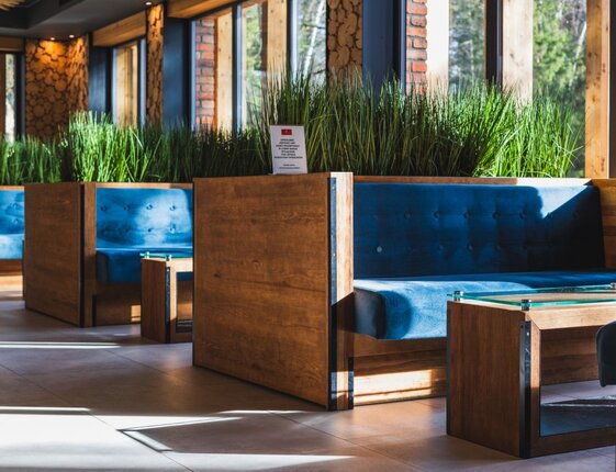 Hotel lounge booths with deep blue velvet seats, wooden dividers, glass tables and tall greenery by sunlit windows