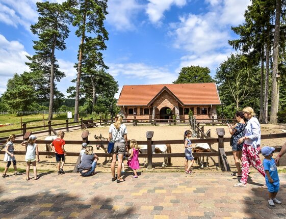 Family-friendly pony pen with small horses in sandy paddock, rustic brick lodge with red-tile roof, tall pines and guests watching.