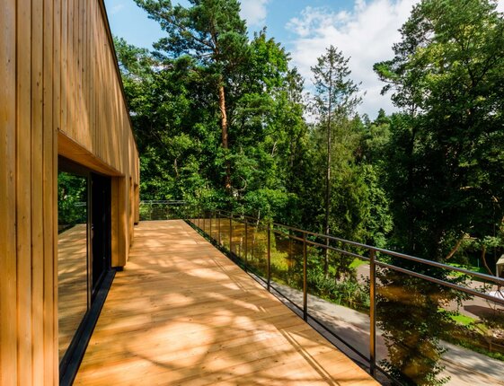 Spacious wooden-clad private terrace with glass railing and sliding glass doors, sunlit deck overlooking lush forest and treetop views.