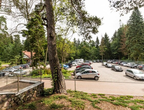 Spacious hotel parking lot with many cars, gravel spaces and stone terrace with railing, set in a peaceful pine forest.