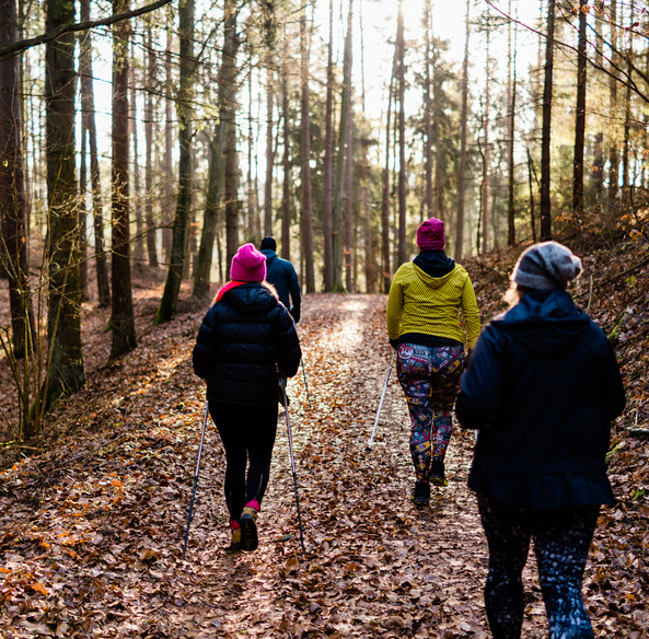 Four people Nordic walking along a sunlit, leaf-strewn forest path in warm jackets and beanies
