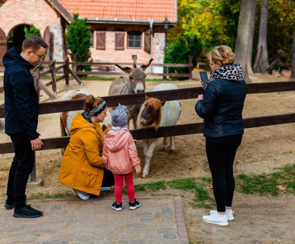 Rodzina w mini zoo przy rustykalnym ceglanym domu, dziecko karmi kucyka i osła przy drewnianym ogrodzeniu