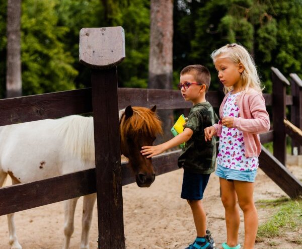 Dwoje dzieci głaszczą kucyka w rodzinnym mini zoo hotelowym wśród sosen