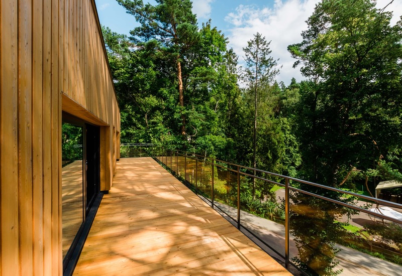 Przestronny, drewniany taras z szklaną balustradą i przesuwnymi drzwiami, z widokiem na bujny las