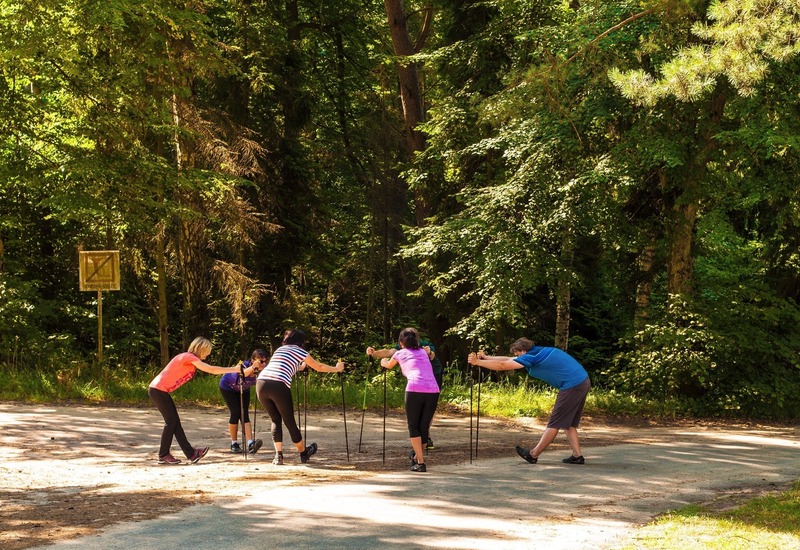 Sześć osób rozciąga się z kijkami nordic walking na słonecznej leśnej ścieżce, w kolorowych strojach sportowych