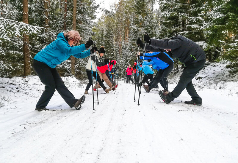 Grupa ćwiczy rozciąganie nordic walking z kijkami na zaśnieżonej leśnej ścieżce wśród śnieżnych sosen