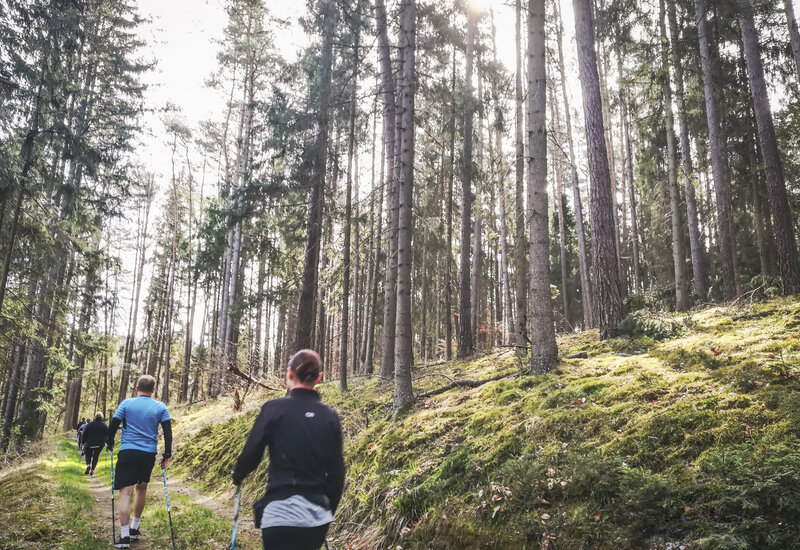 Goście na prowadzonej wycieczce nordic walking leśną ścieżką wśród wysokich sosen, mchu i łagodnego światła.