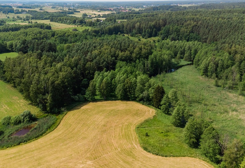 Lotniczy widok na skoszone pola, małe oczko wodne i gęsty las rozciągający się ku odległej wsi.
