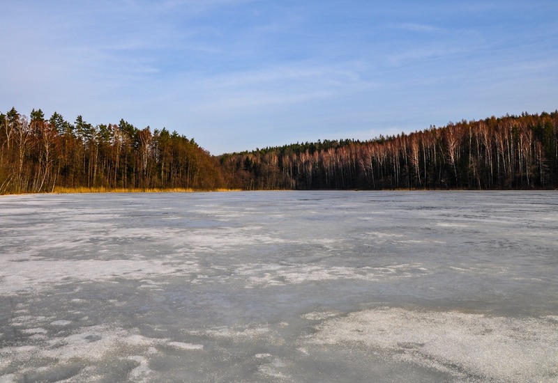 Zamrożone jezioro z płytką, nierówną warstwą lodu i brzozowo‑sosnowym brzegiem pod czystym, błękitnym niebem