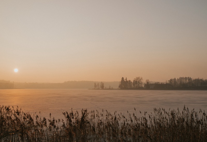 Spokojny wschód słońca nad zamarzniętym jeziorem, sitowie na pierwszym planie, odległy las i nadbrzeżne chaty.