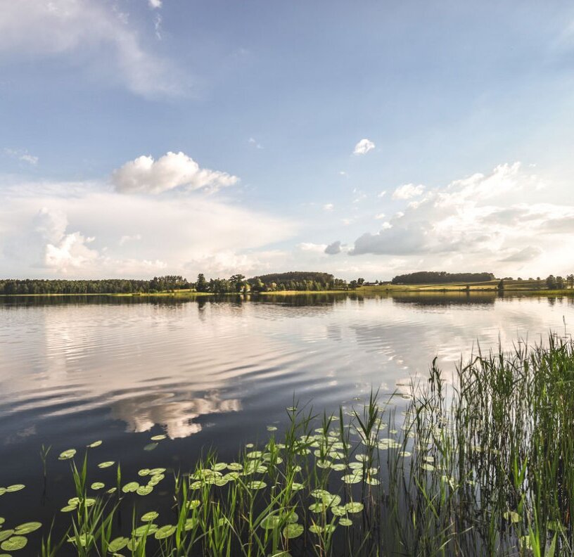 Calm lake with lily pads and reeds, reflective water and a tree-lined shore beneath a wide, partly cloudy sky