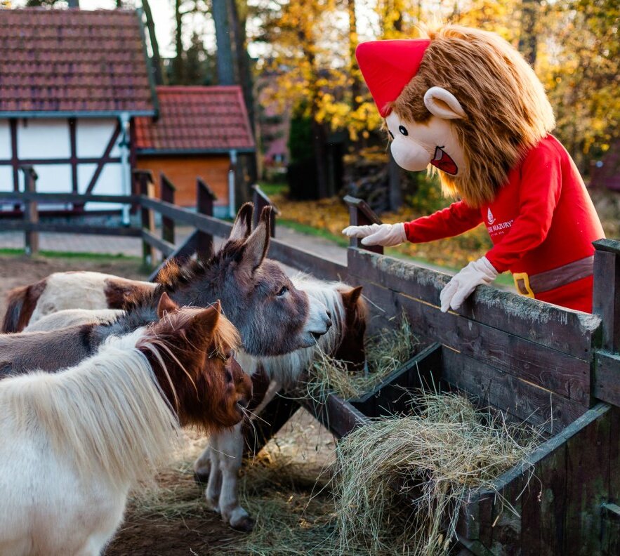 Maskotka pochylona nad drewnianym ogrodzeniem, dokarmiająca kucyki i osła sianem na rustykalnym dziedzińcu z domkami szachulcowymi.