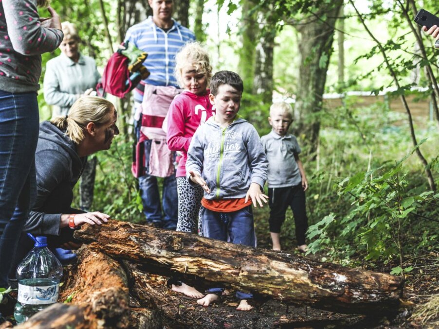 Family-friendly guided forest activity with children crossing fallen logs barefoot, staff assisting on a shaded nature trail.