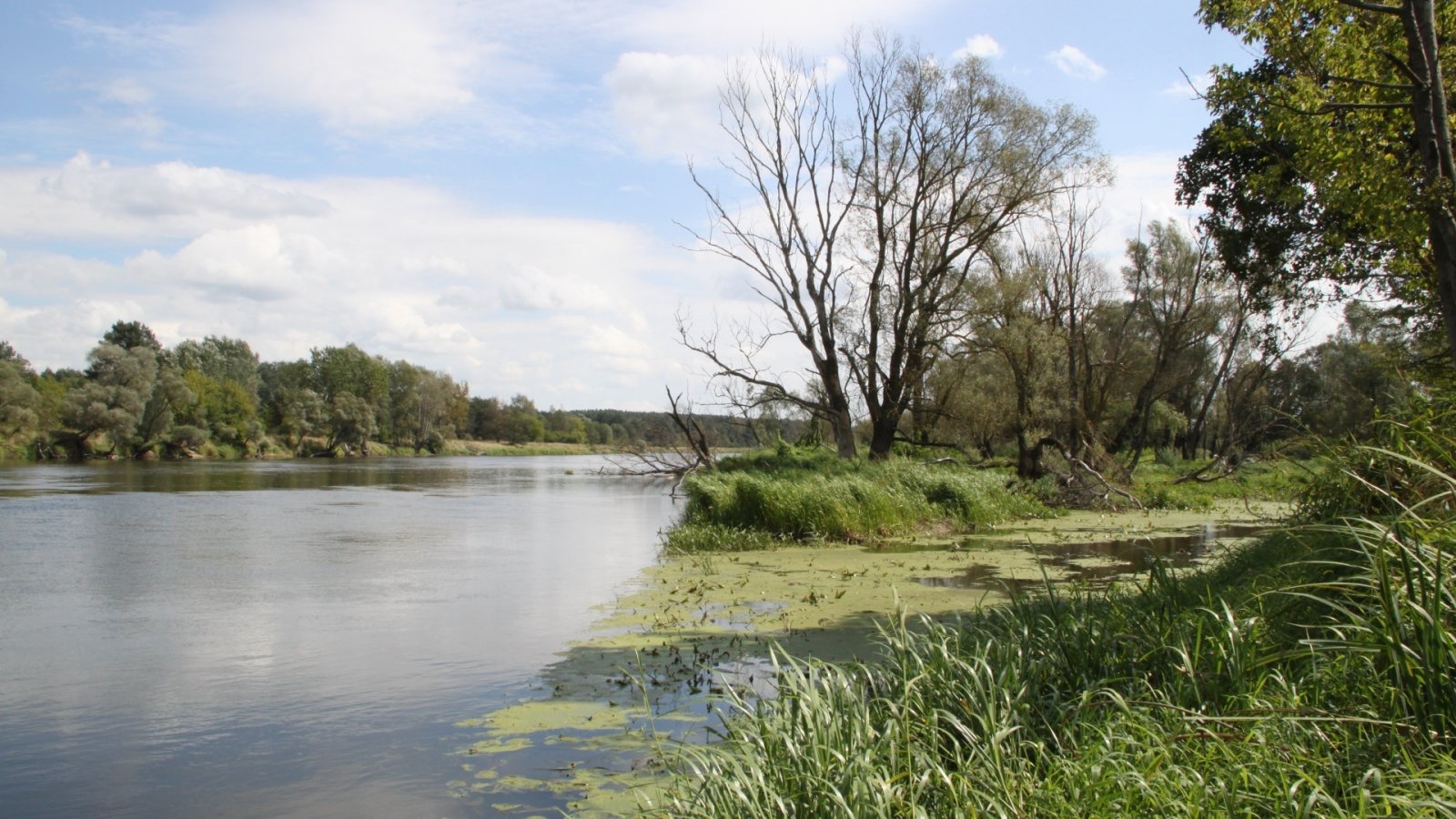 Zamek Janów Podlaski - atrakcje