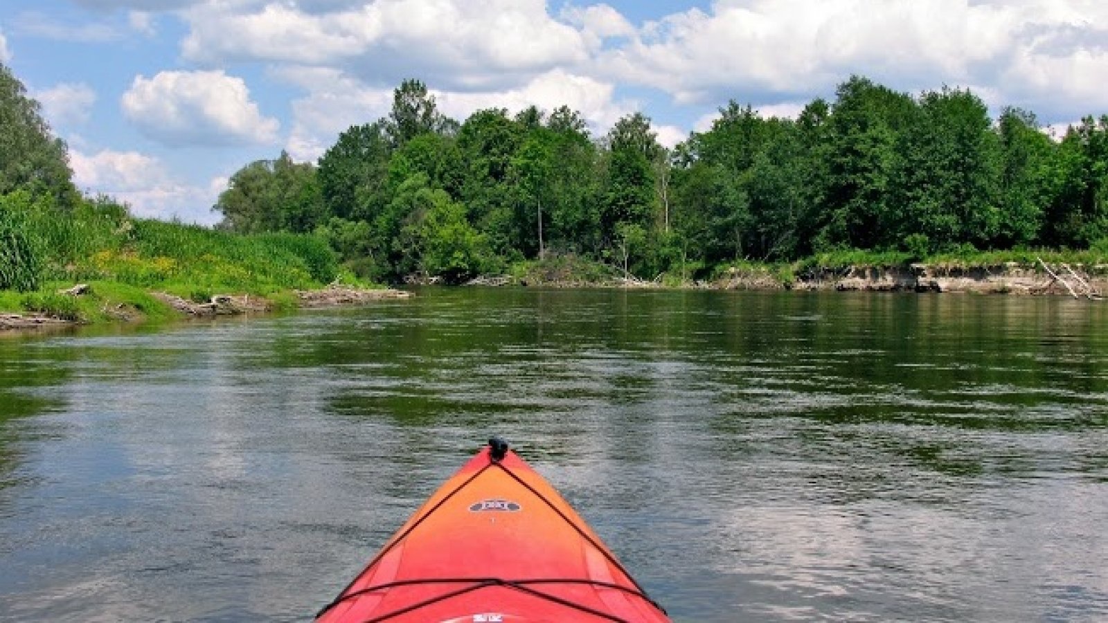 Zamek Janów Podlaski - atrakcje