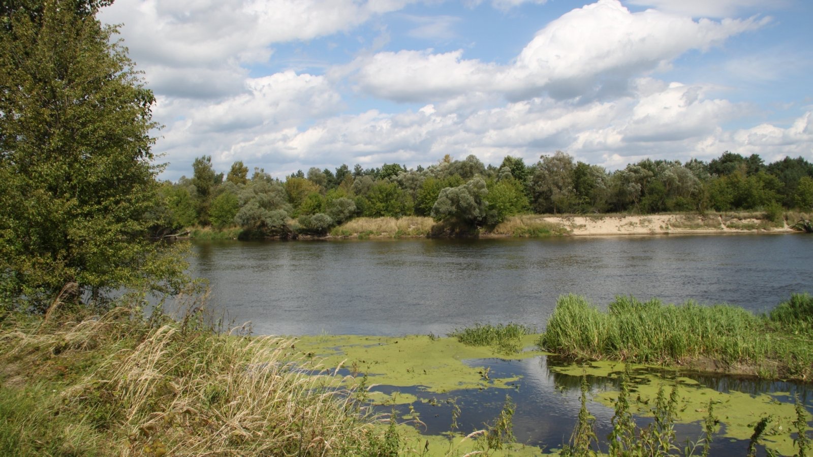 Zamek Janów Podlaski - atrakcje