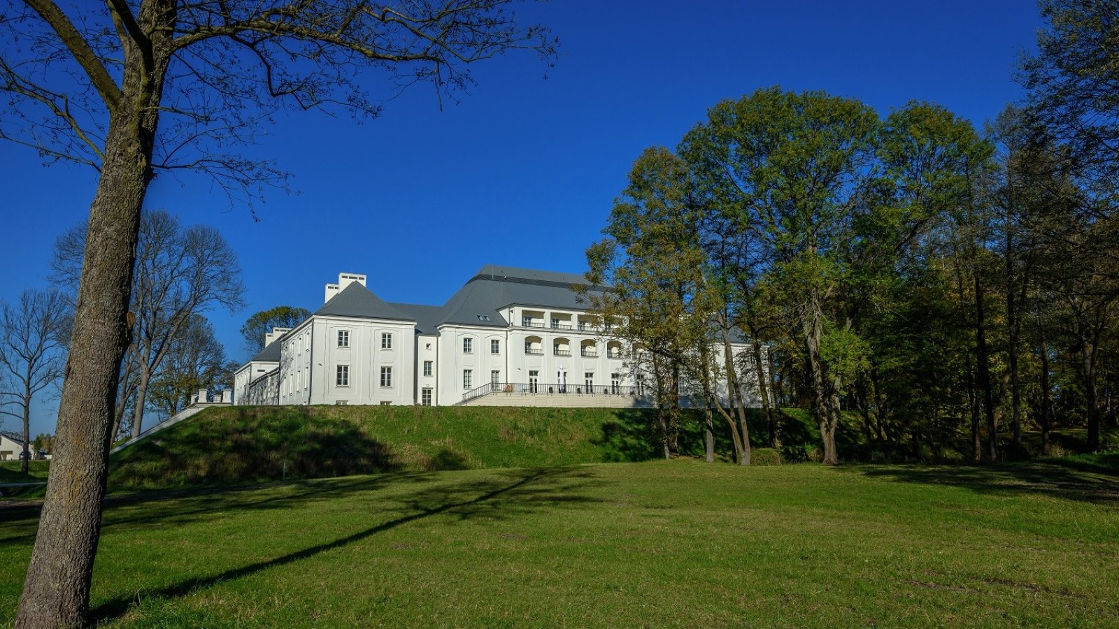 Zamek Janów Podlaski - atrakcje 66