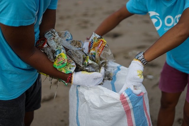 beach cleaning